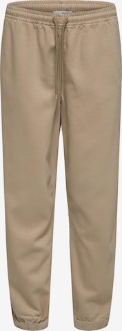 Effilé Pantalon 'Molly' SELECTED FEMME en beige : devant