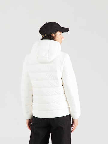 Veste fonctionnelle 'Legacy' Champion Authentic Athletic Apparel en blanc