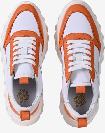 Apple of Eden Sneakers laag 'BLAIR' in Wit