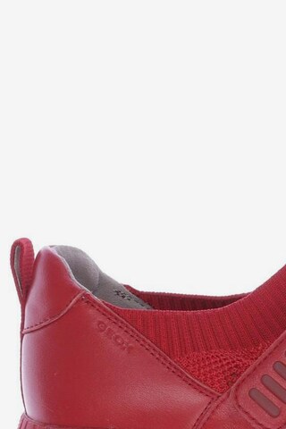 GEOX Sneakers & Trainers in 41 in Red
