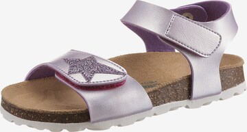 Richter Schuhe Sandals in Purple: front