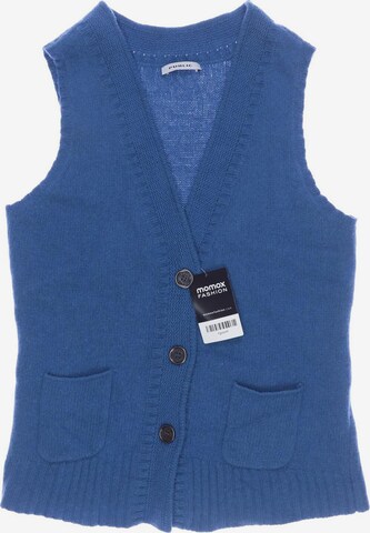 Public Vest in XL in Blue: front