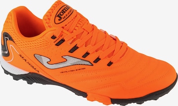 JOMA Soccer shoe 'Maxima 25 MAXW TF' in Orange: front