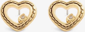 auksinė COACH Auskarai: priekis