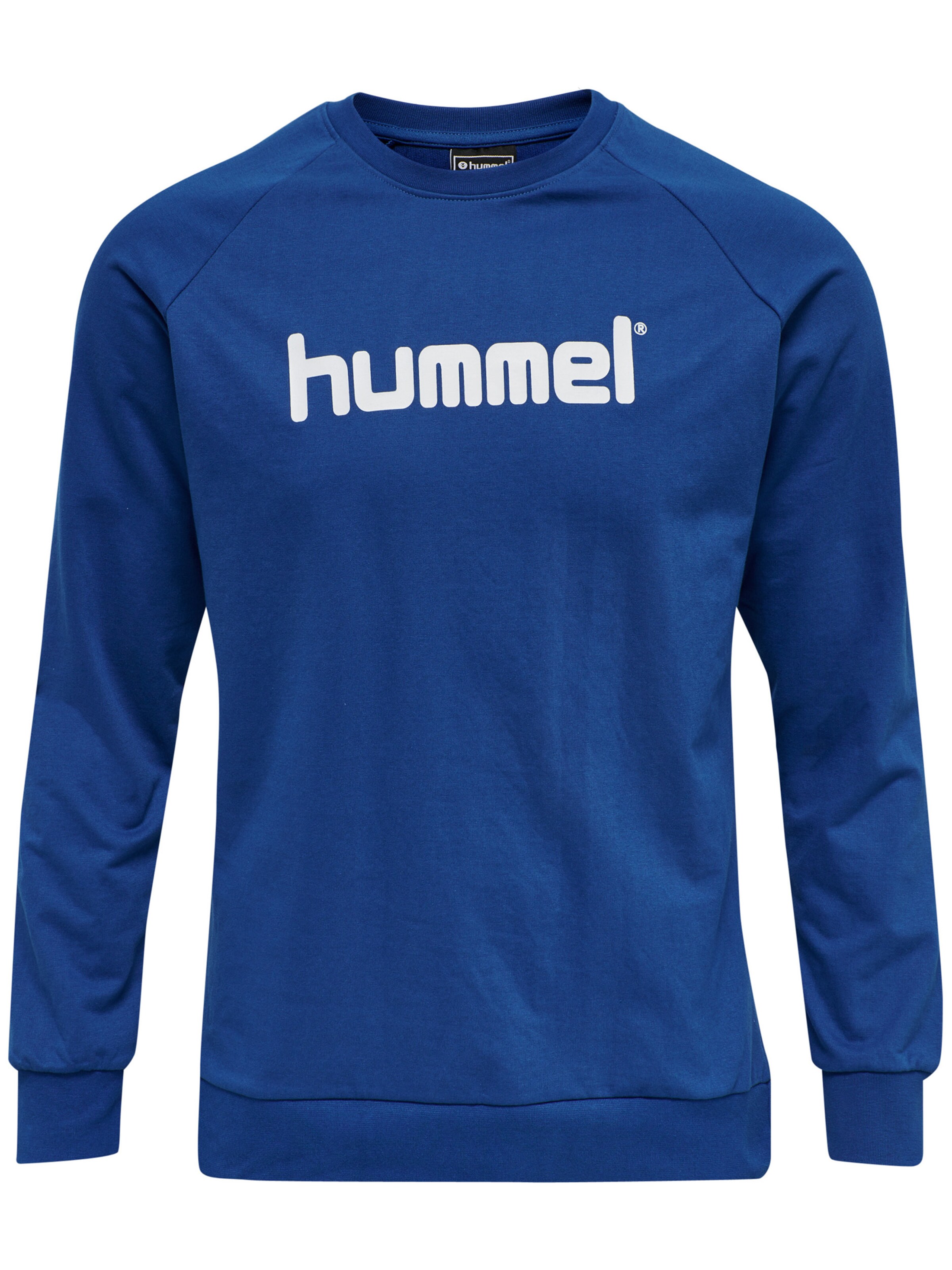 Hummel Sportsweatshirt i blå: forside