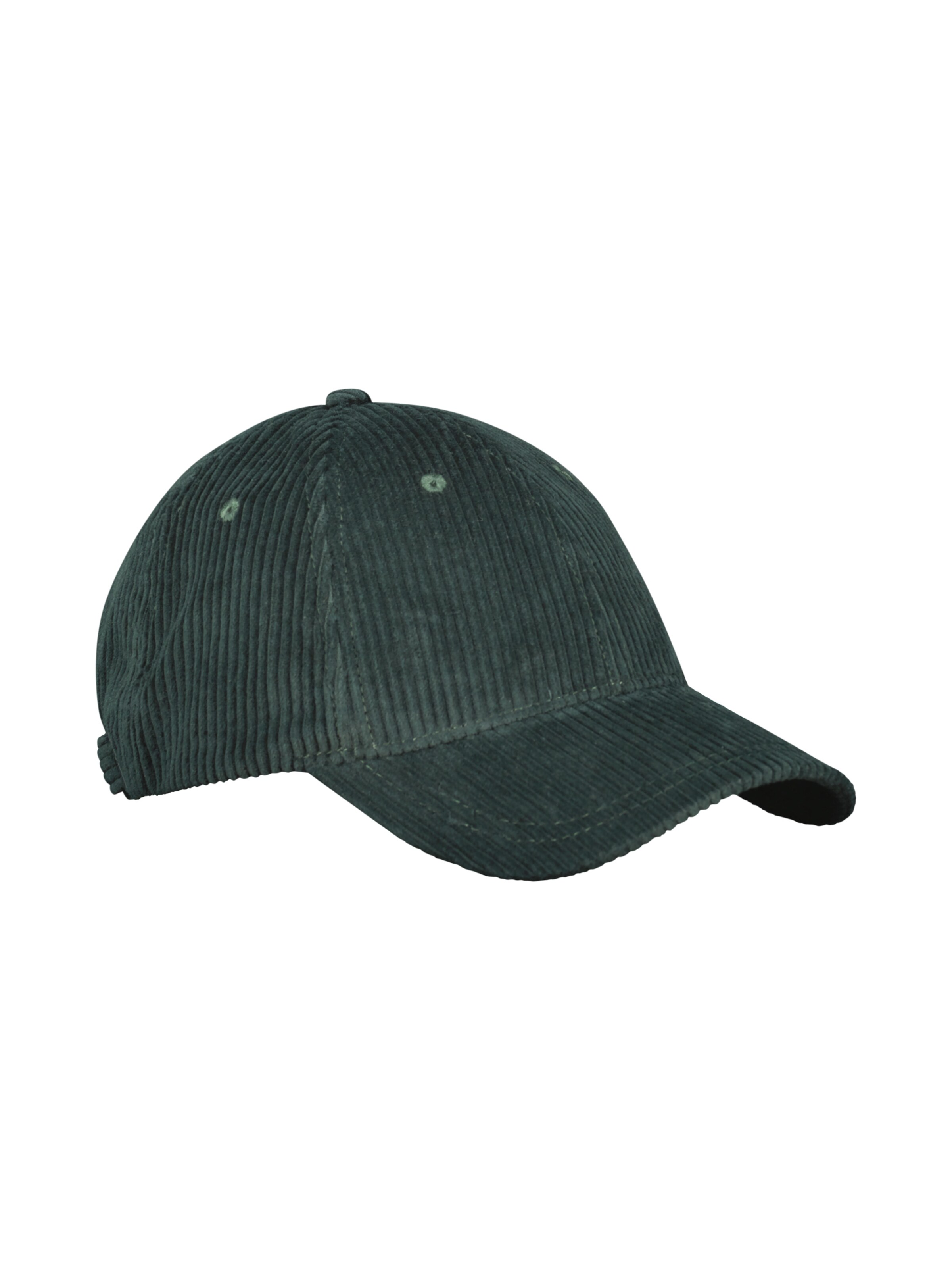 LERROS Cap in Green