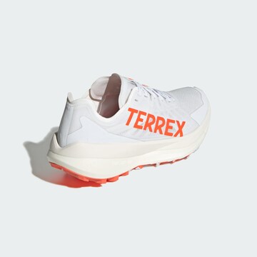 ADIDAS TERREX - Zapatos bajos 'Agravic Speed Trai' en blanco