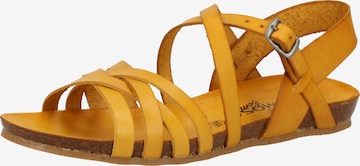 Sandales à lanières COSMOS COMFORT en jaune : devant