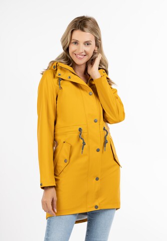 Usha Raincoat in Yellow: front