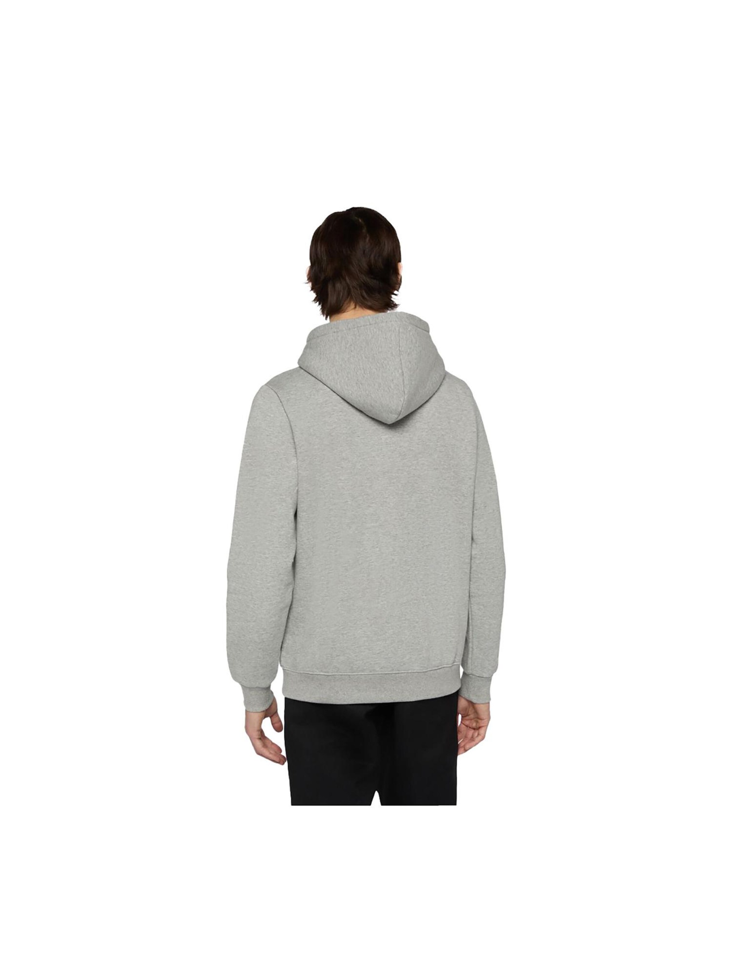 DICKIES Sweatshirt 'Classic' in Grey