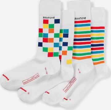 Pantone made by MuseARTa Socks in White: front