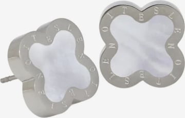 Lenoites Earrings 'Four-leaf Clover 3' in Silver: front