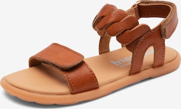 BISGAARD Avonaiset kengät 'Cille' värissä ruskea: etupuoli