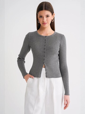 Cardigan MixRay en gris : devant
