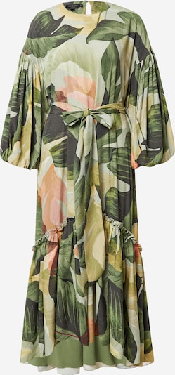 Ted Baker Dress 'Juliye' in Light brown / Green / Fir / Pastel green / Light green, Item view