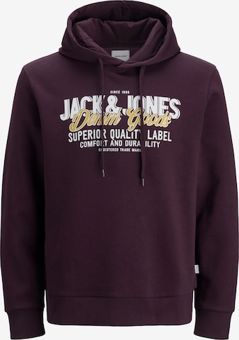 JACK & JONES Свитшот в Лиловый: спереди
