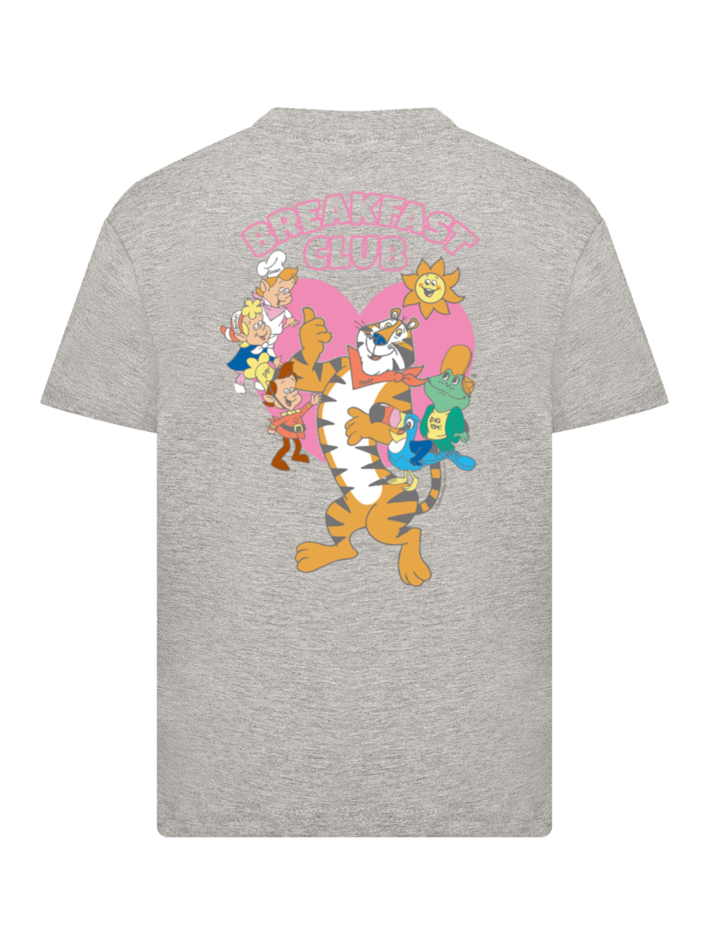 F4NT4STIC Shirt in Grey