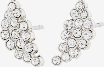 PilgrimNaušnice 'Berenike' - srebro boja: prednji dio