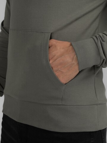 Petrol Industries Sweatshirt 'Tetlin' i grön