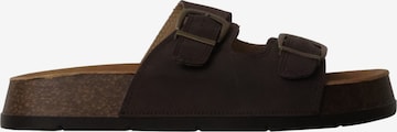 Super Mode Mules in Brown: front