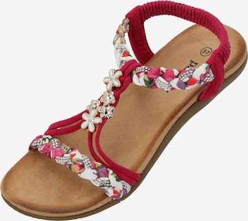 Sandales à lanières 'Ninralla' Palado en rose : devant