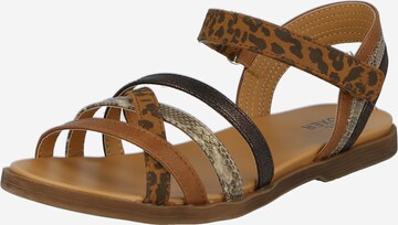 BULLBOXER Sandal i brun: framsida