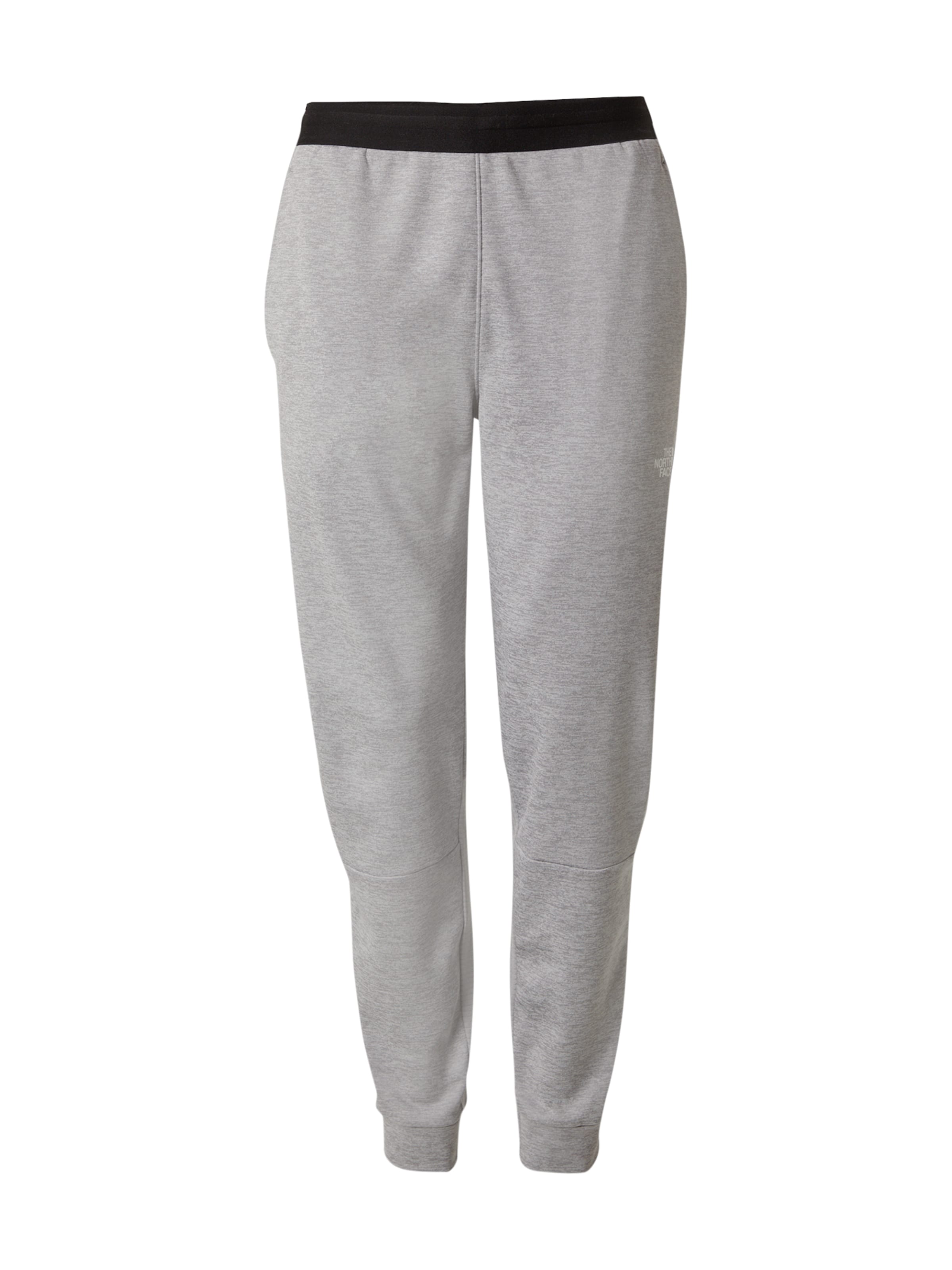 THE NORTH FACE Vabaajapüksid, värv hall: eest vaates