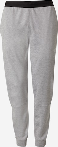 THE NORTH FACE Vabaajapüksid, värv hall: eest vaates