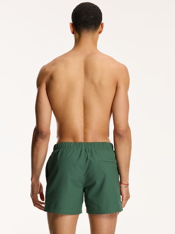 Shiwi Swimming shorts in Green