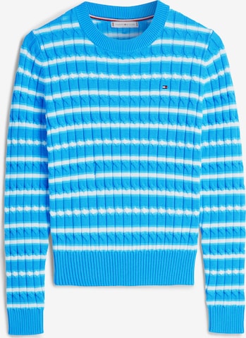 TOMMY HILFIGER Sweater in Blue: front