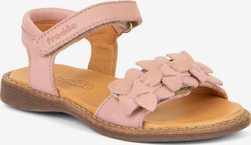 Froddo Sandals 'Lore Flowers' in Pink: front