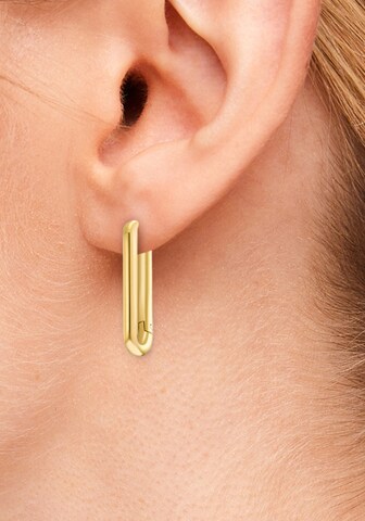 s.Oliver Earrings in Gold