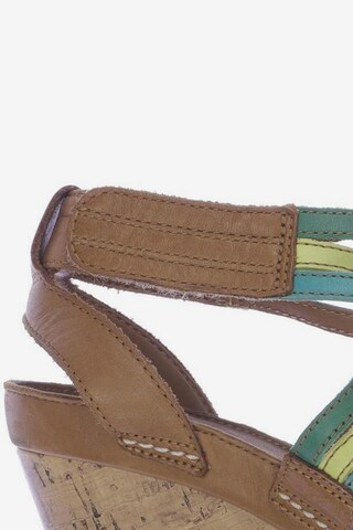 CLARKS Sandals & High-Heeled Sandals in 38,5 in Mixed colors