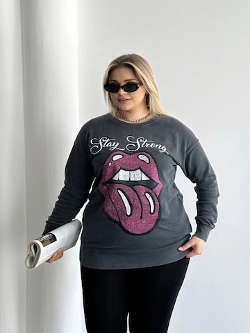 Stil Diva Trui in Grijs