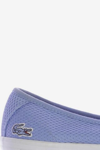 LACOSTE Sneakers & Trainers in 37,5 in Blue