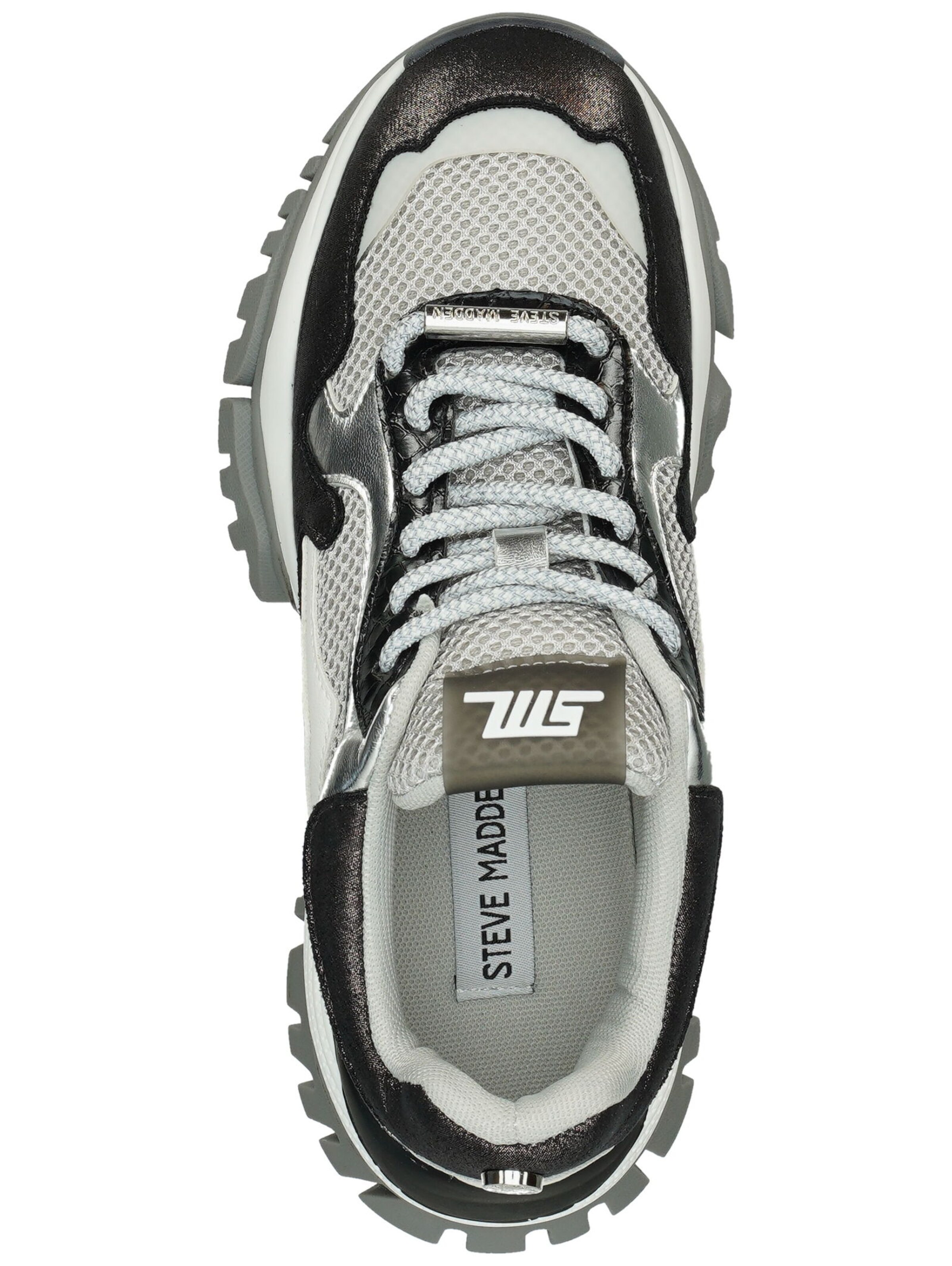 Baskets basses STEVE MADDEN en gris