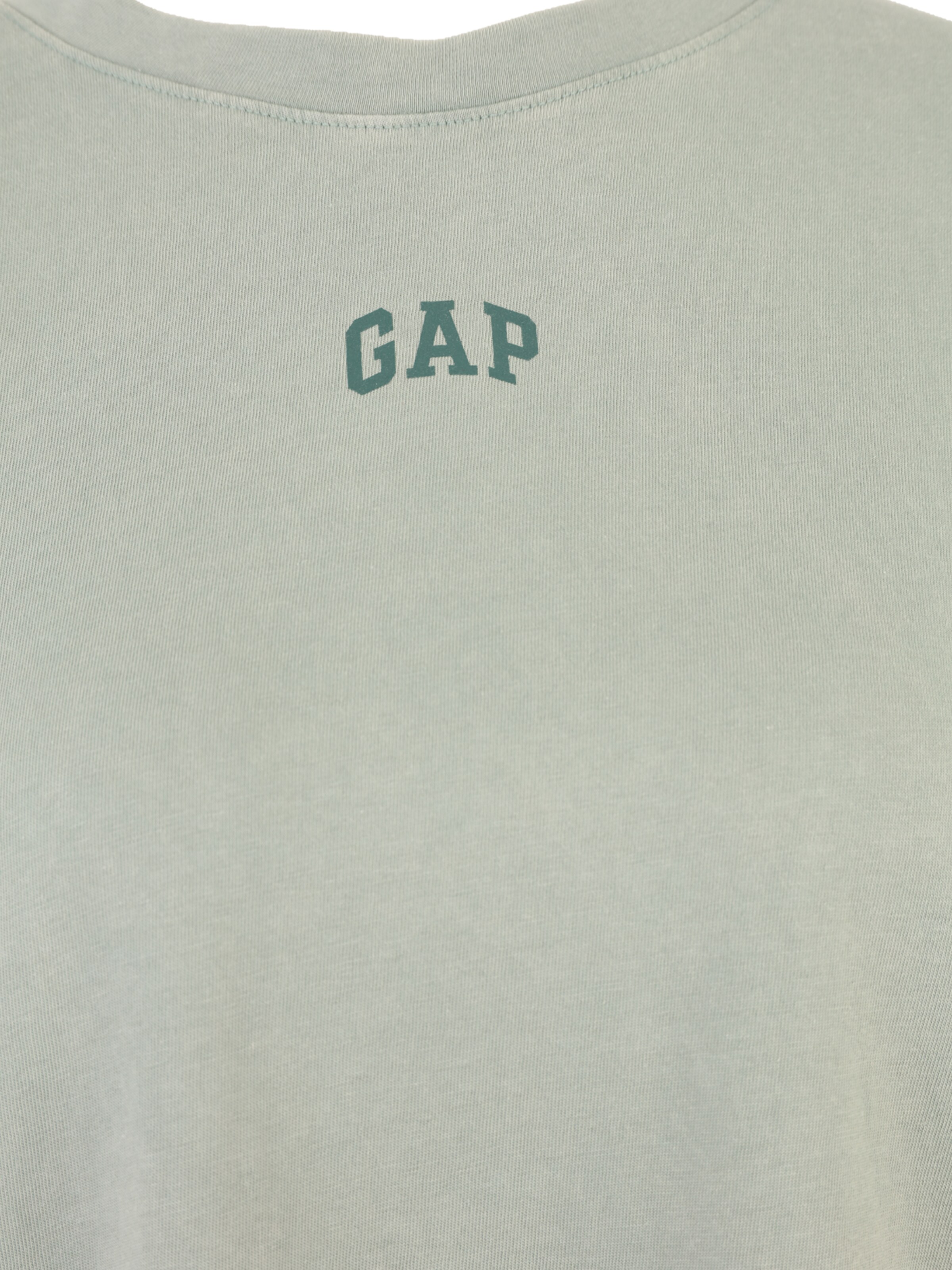 Gap Tall Shirt in Green