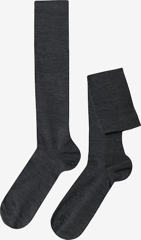 CALZEDONIA Socks in Grey: front