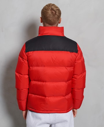 Superdry Winterjas in Rood