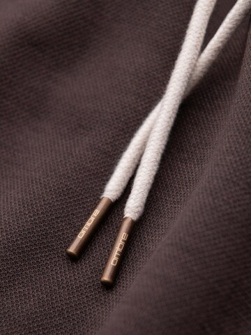 Ombre Regular Pants in Brown