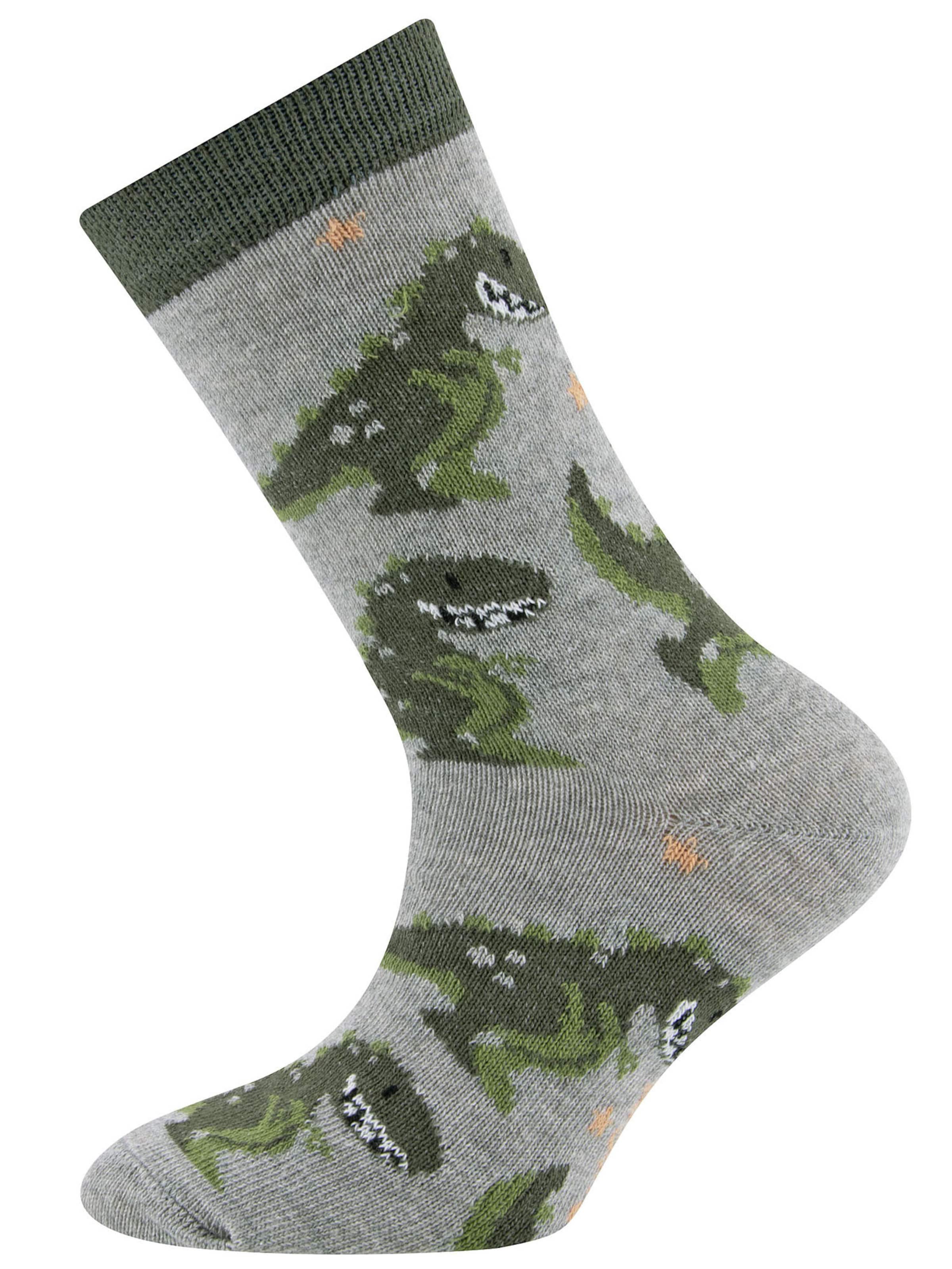 EWERS Ponožky 'Dino' – šedá