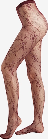 CALZEDONIA Tights in Red: front