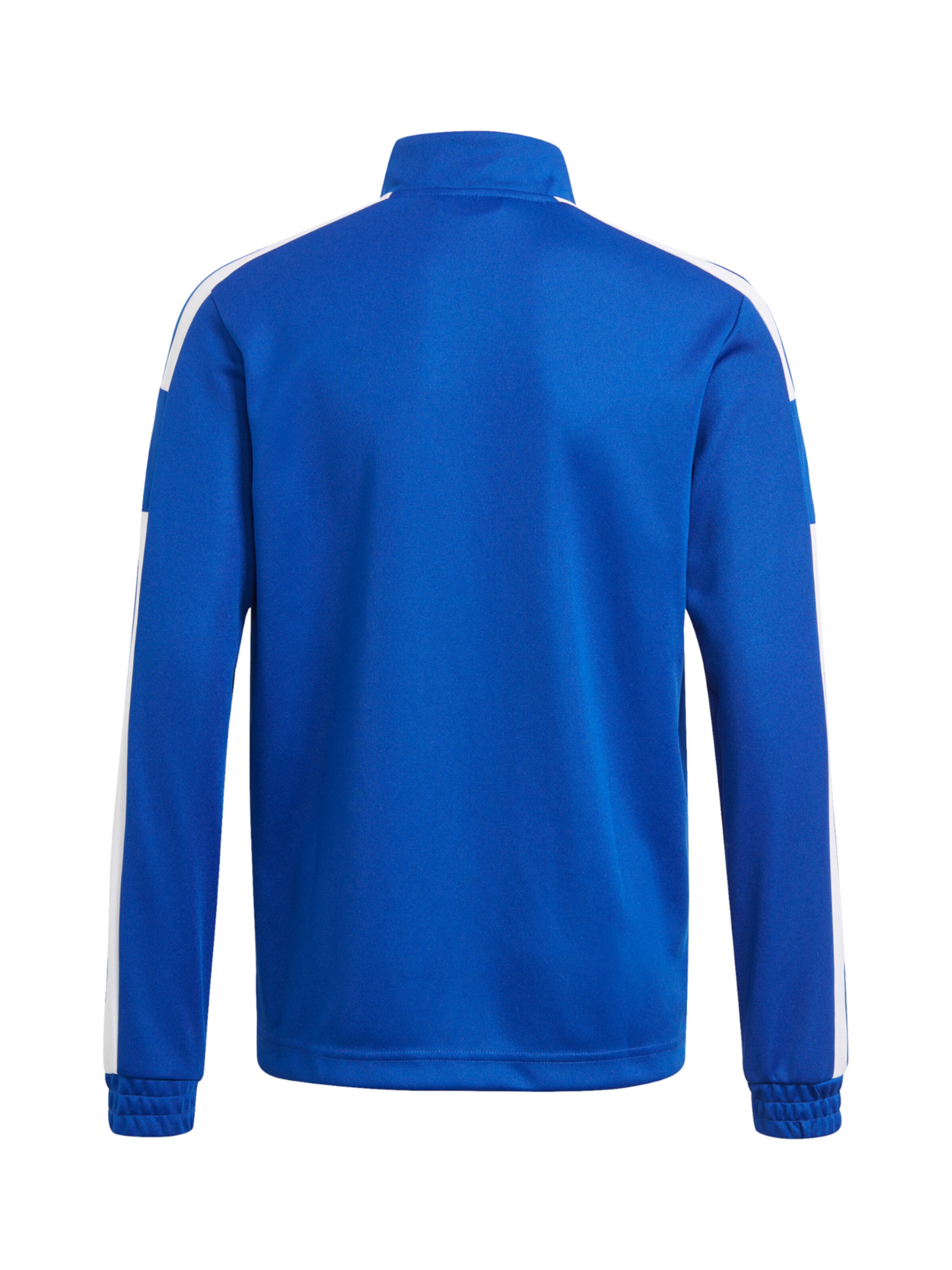 ADIDAS PERFORMANCE Athletic Jacket 'Squadra 21' in Blue