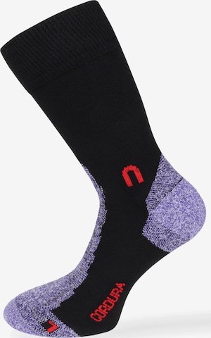 Chaussettes de sport 'Cordura' normani en noir : devant