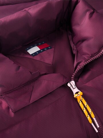 Tommy Jeans Winter jacket 'Alaska' in Purple