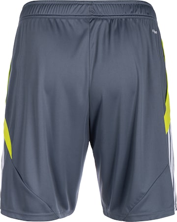 ADIDAS PERFORMANCE Regular Workout Pants 'Tiro 24' in Grey