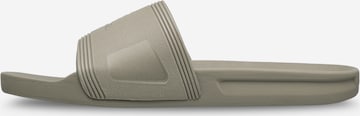QUIKSILVER Pantolette 'Dockyard' in Grau: Vorderseite