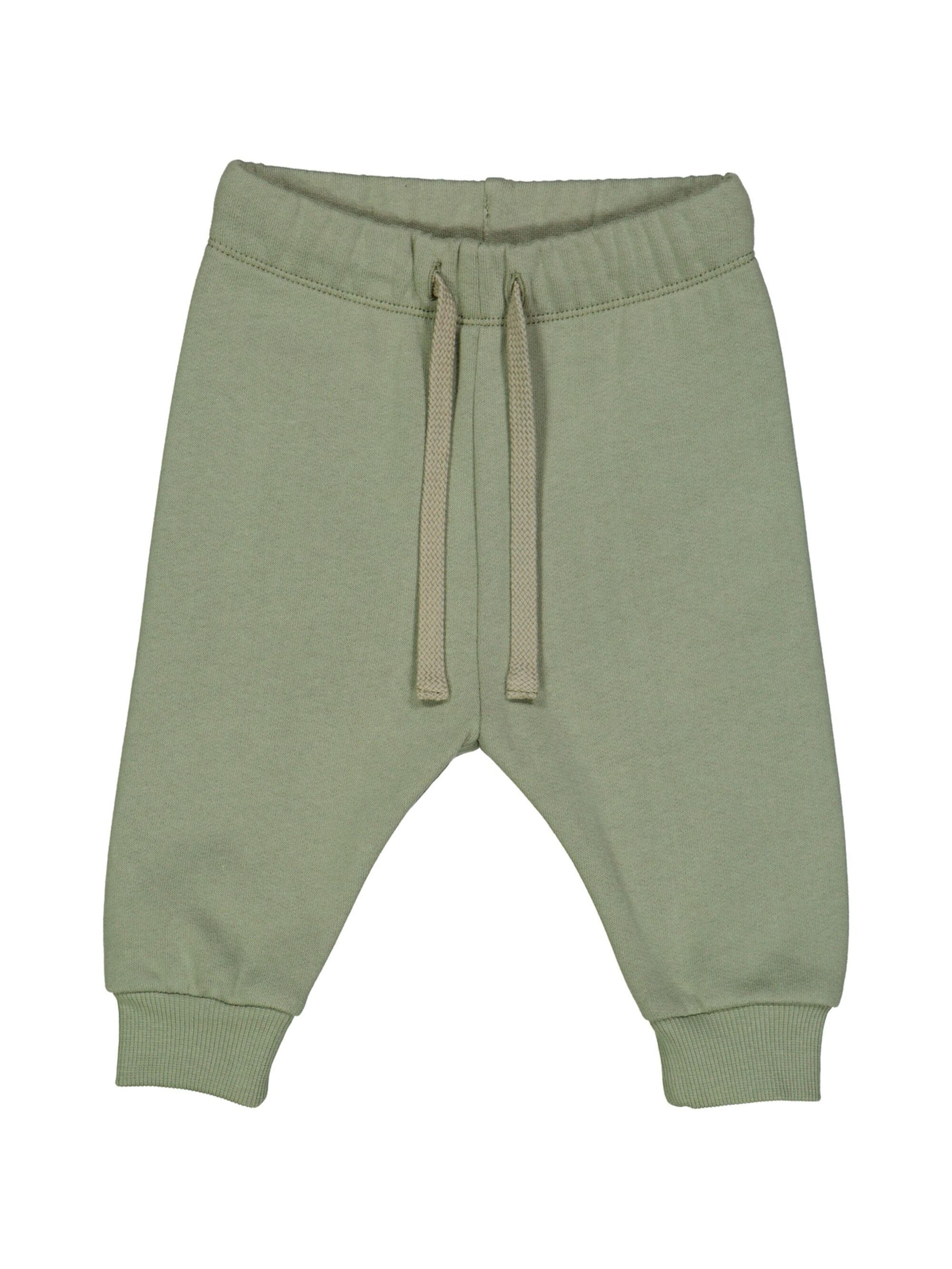 Müsli by GREEN COTTON - Regular Calças em verde: frente