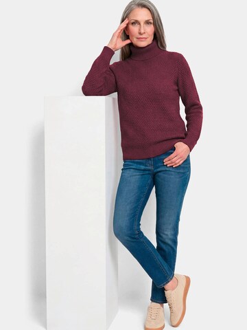 Goldner Sweater in Purple