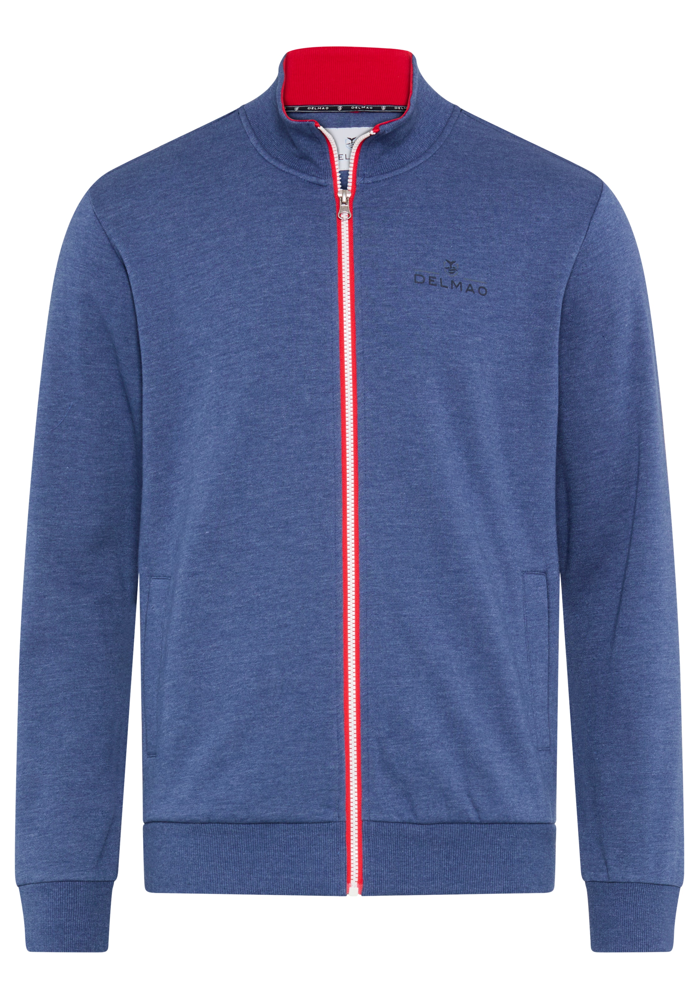 DELMAO Zip-Up Hoodie in Blue: front